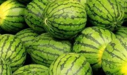 吃瓜每日大赛 吃瓜网51官网版,51官网版吃瓜每日大赛精彩回顾