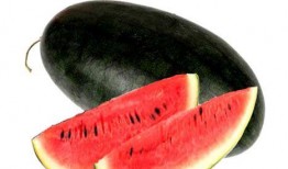 17草吃瓜网黑料爆料视频在线看 吃瓜爆料短剧吃瓜爆料大赛每日聚集地,17草吃瓜网独家爆料，吃瓜爆料短剧大赛每日精彩集锦